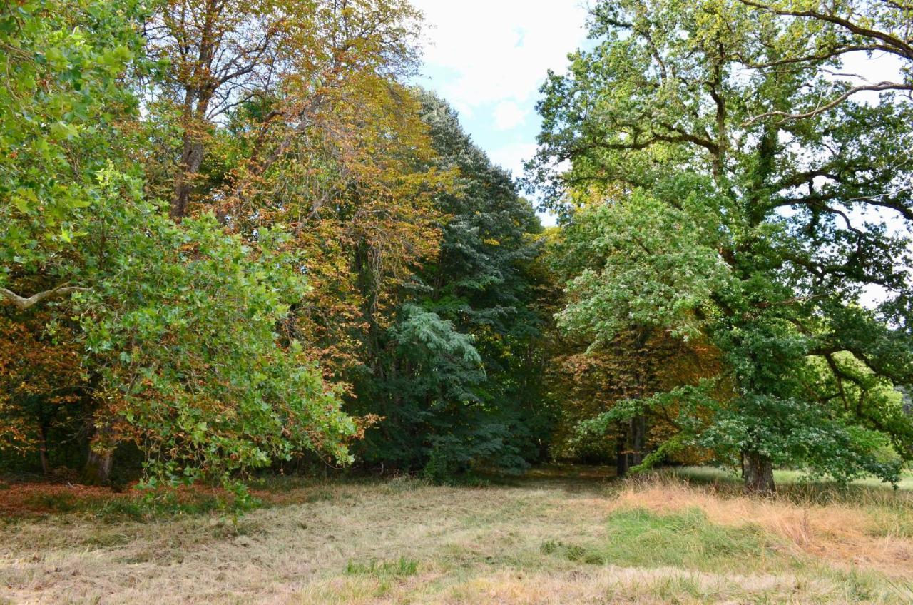 Chateau De Freschines Villefrancoeur Eksteriør billede