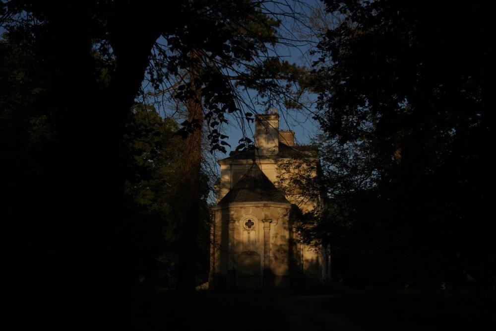Chateau De Freschines Villefrancoeur Eksteriør billede